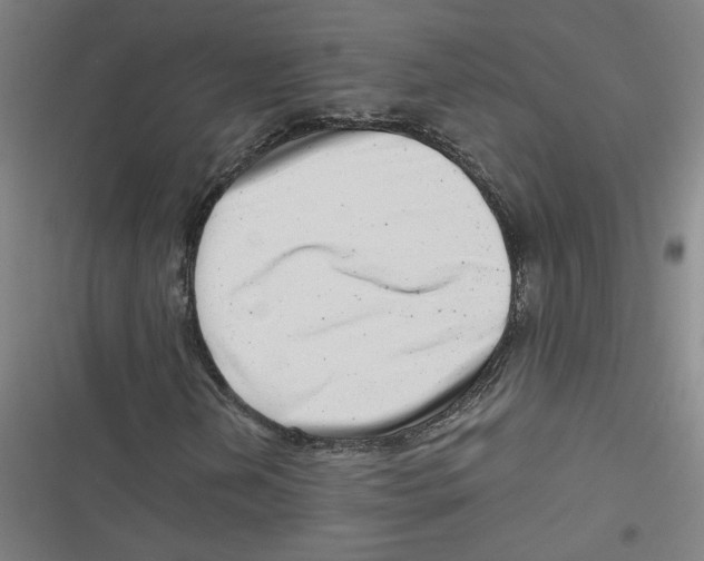 X0000116761202201001141422