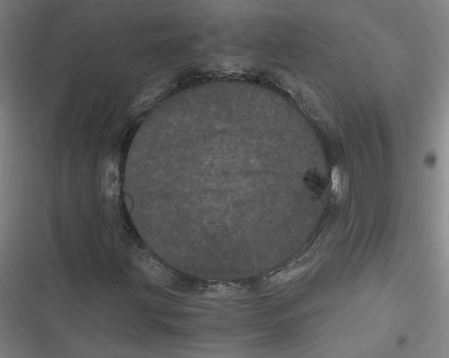 X0000116761203201001141422