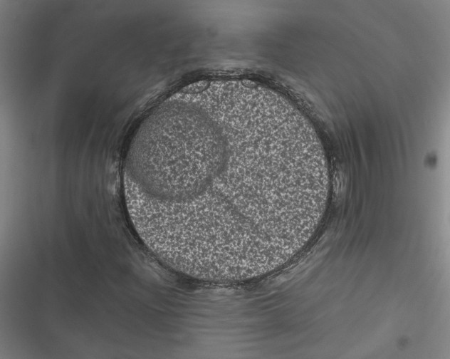 X0000116761204201001141422