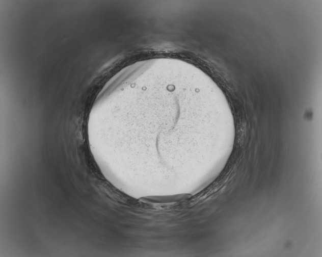 X0000116761205201001141422