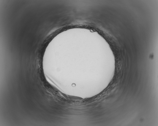 X0000116761206201001141422