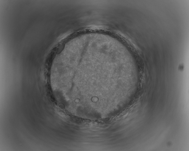 X0000116761207201001141422