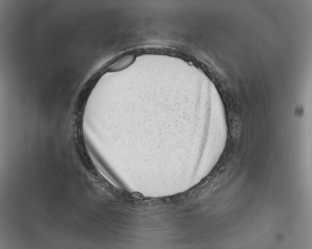 X0000116761208201001141422