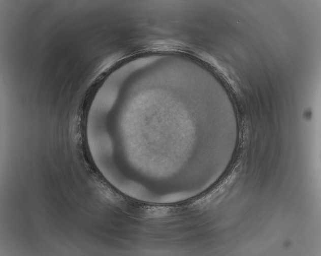 X0000116761211201001141422