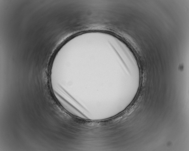 X0000116761212201001141422