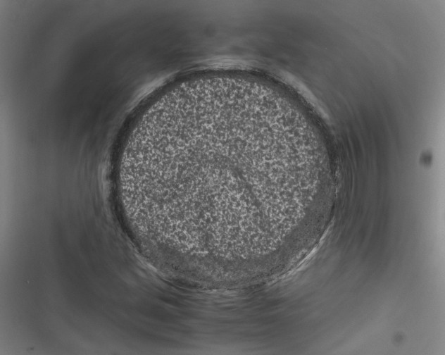 X0000116761213201001141422