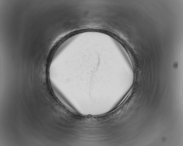 X0000116761214201001141422