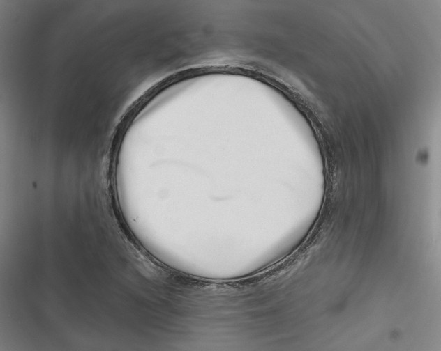 X0000116761216201001141422