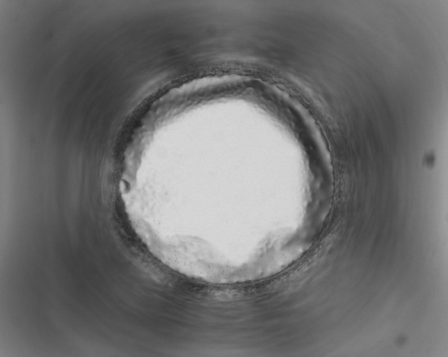 X0000116761219201001141422