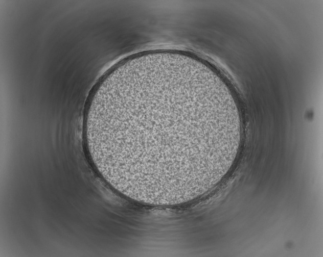 X0000116761220201001141422