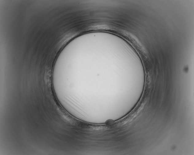 X0000116761225201001141422