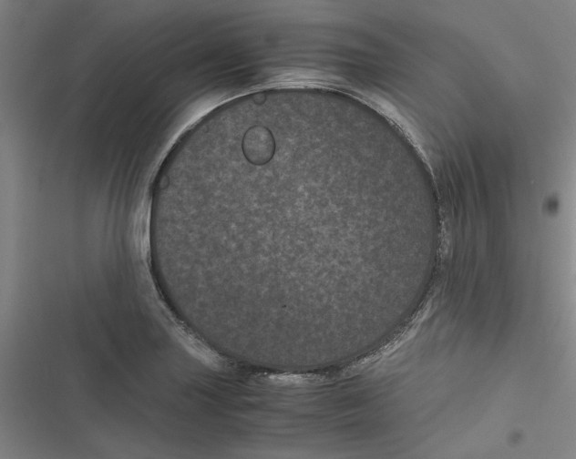 X0000116761227201001141422