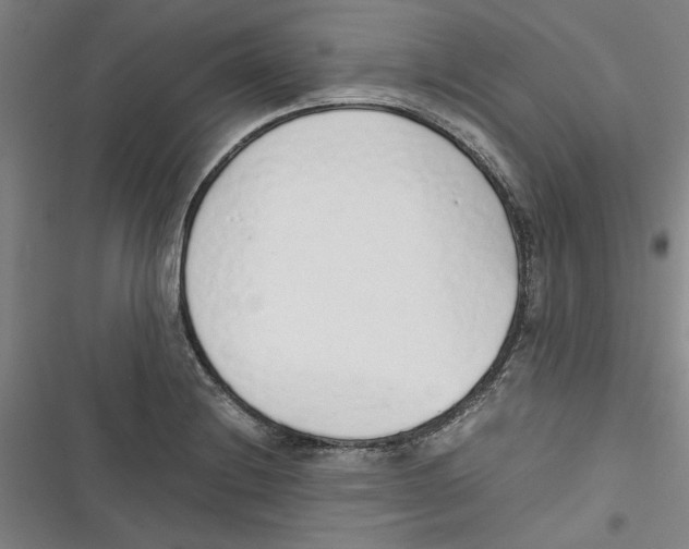 X0000116761228201001141422