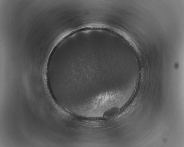 X0000116761229201001141422