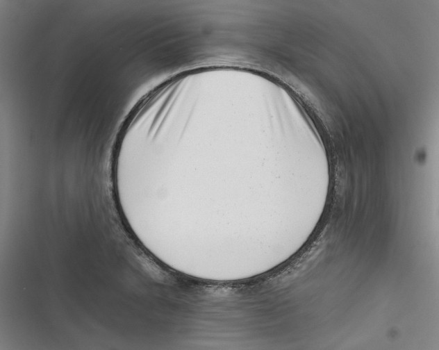 X0000116761230201001141422