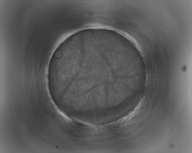 X0000116761231201001141423