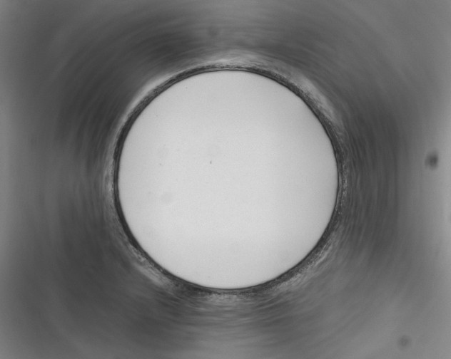 X0000116761232201001141423