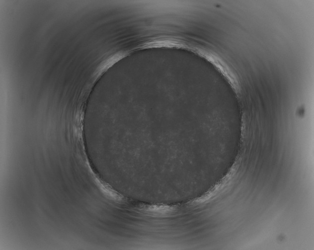 X0000116761233201001141423