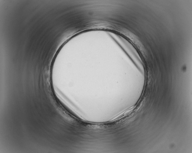 X0000116761234201001141423