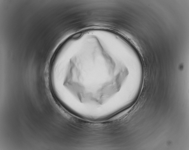 X0000116761235201001141423