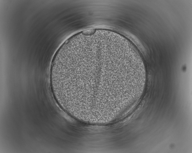 X0000116761236201001141423