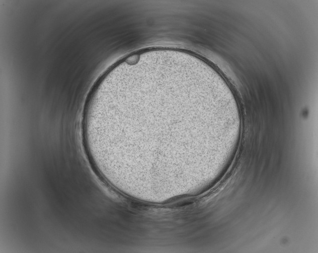 X0000116761237201001141423