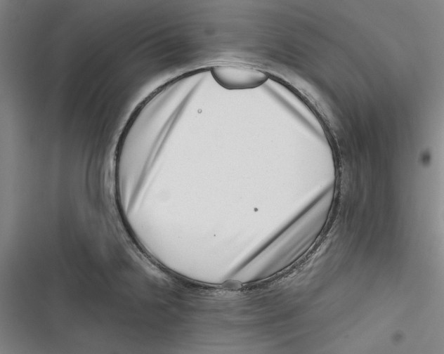 X0000116761238201001141423