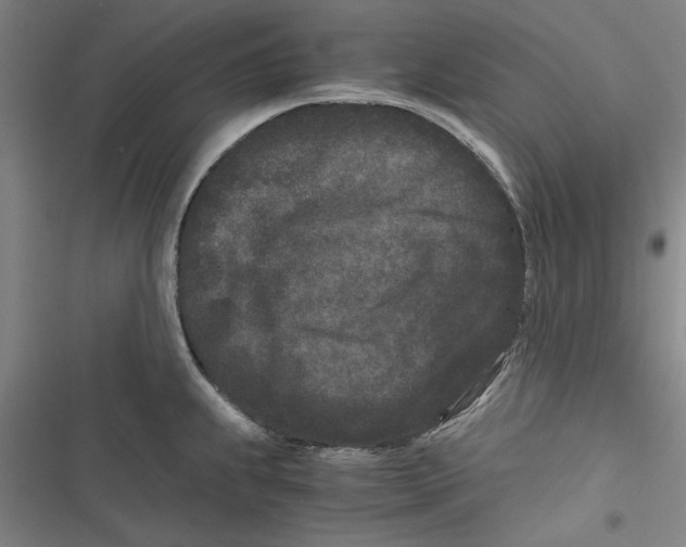 X0000116761239201001141423