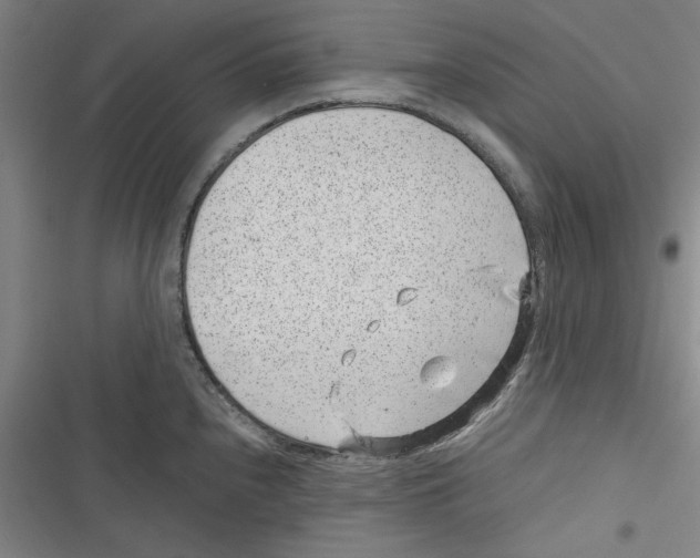 X0000116761240201001141423