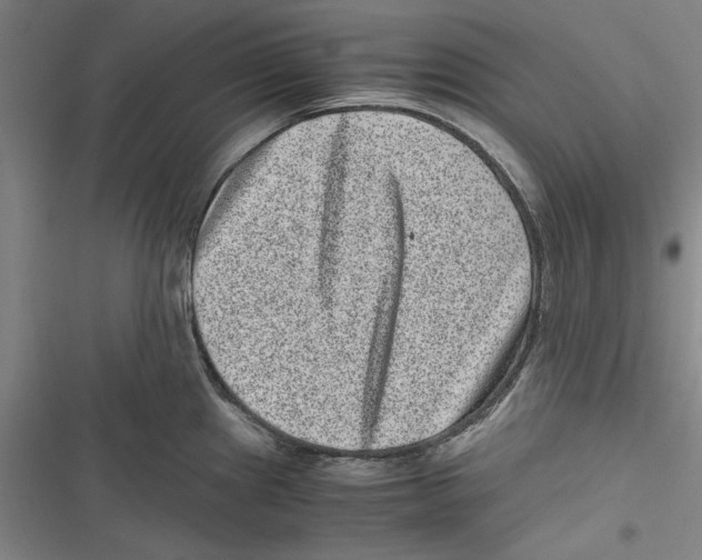 X0000116761241201001141423