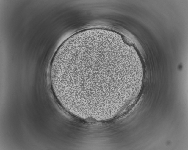 X0000116761242201001141423