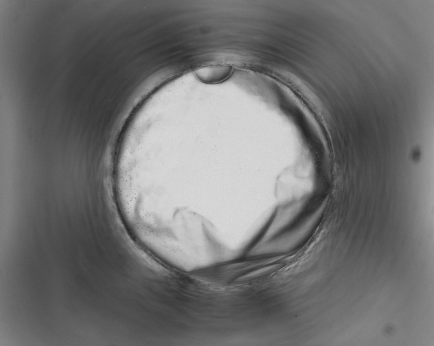 X0000116761243201001141423