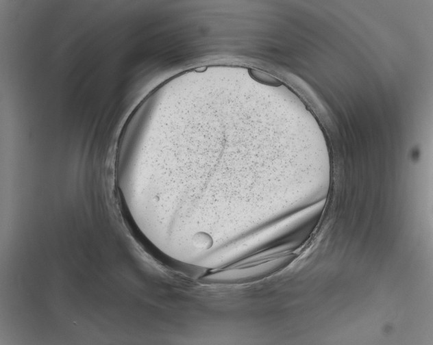 X0000116761244201001141423