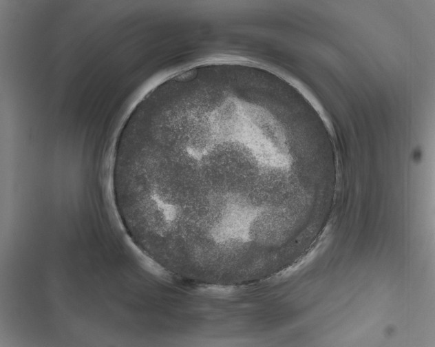 X0000116761245201001141423