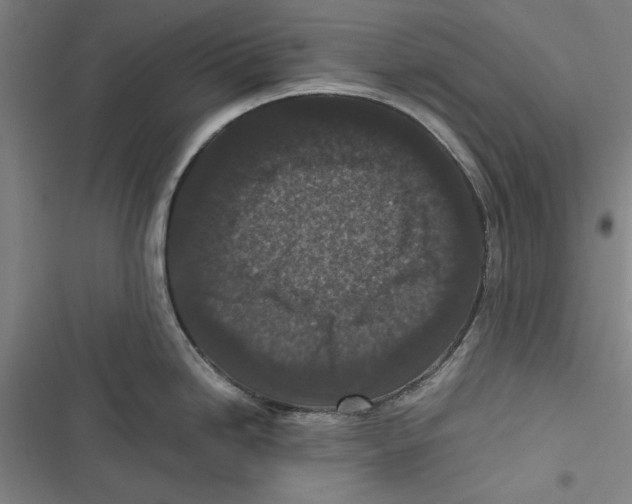 X0000116761246201001141423