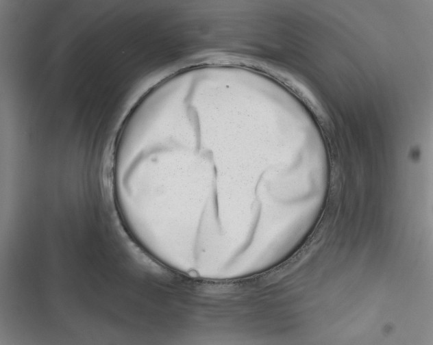 X0000116761247201001141423