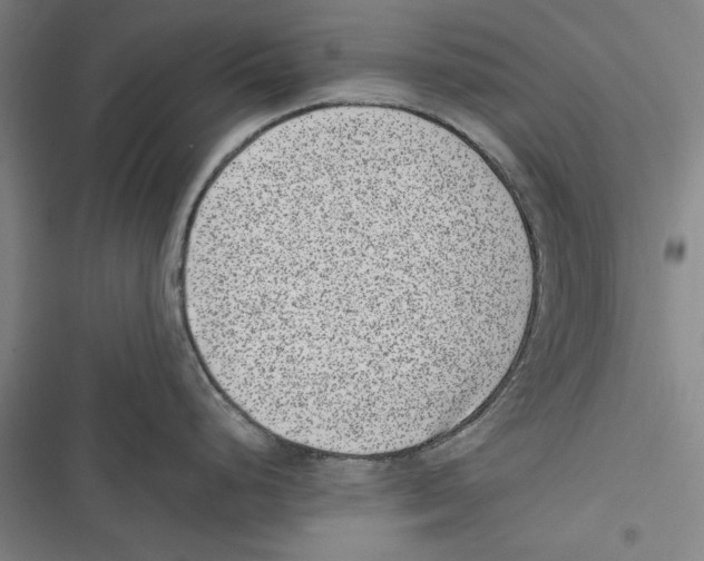 X0000116761248201001141423