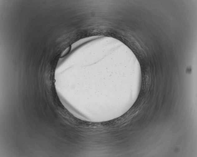 X0000116761250201001141422