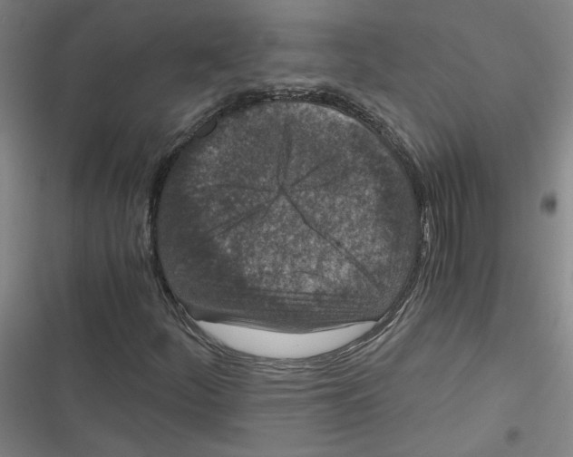 X0000116761252201001141422