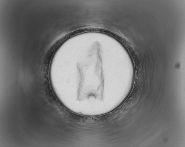 X0000116761255201001141422