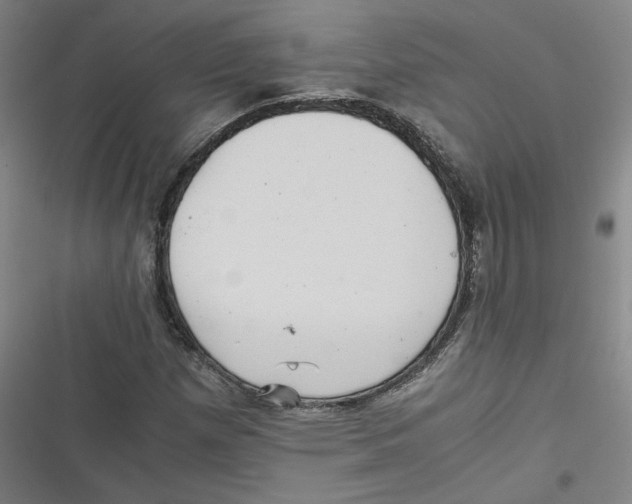 X0000116761257201001141422