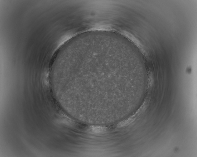 X0000116761258201001141422