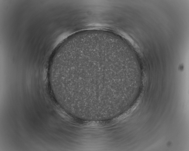 X0000116761259201001141422