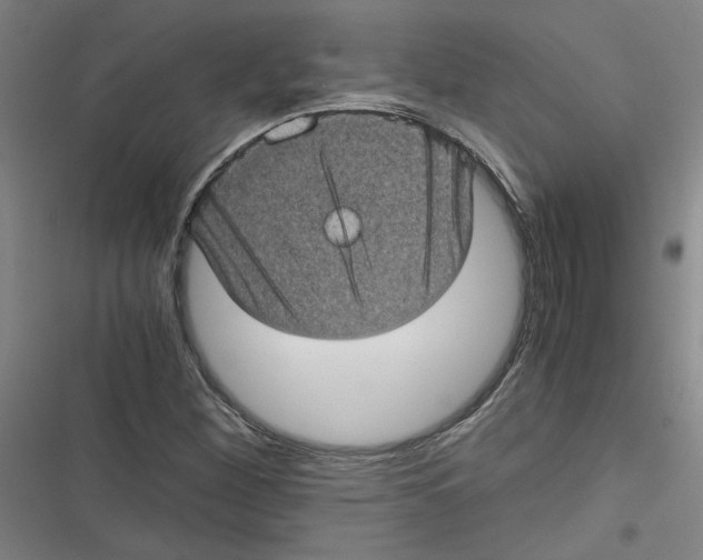 X0000116761260201001141422