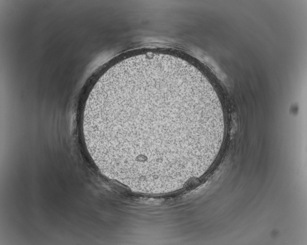 X0000116761261201001141422