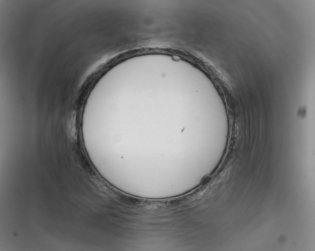 X0000116761262201001141422