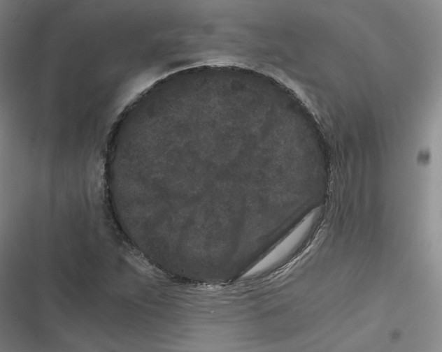 X0000116761263201001141422