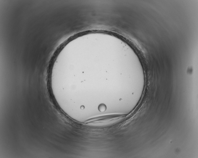 X0000116761264201001141422