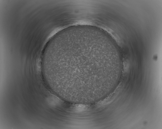 X0000116761266201001141422