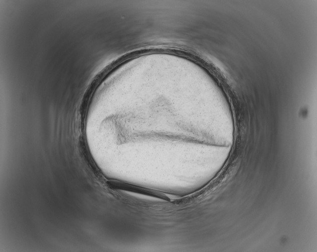 X0000116761267201001141422